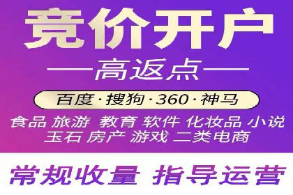 探索SEM代运营公司的经典案例与策略